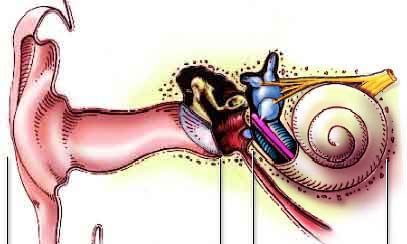 People Affected by Hearing Loss and Deafness | ENT Doctor Cape Town