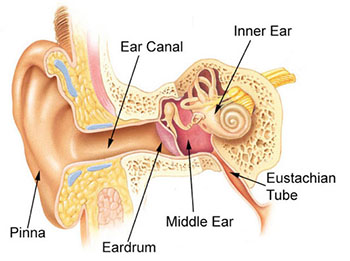 Ventilation tubes (grommets) for otitis media with effusion (OME