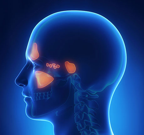 Sinus Infection | ENT Doctor Cape Town