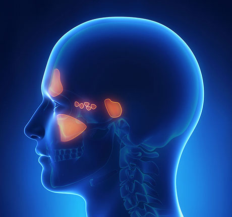 Sinus Infection | ENT Doctor Cape Town Sinus Infection | ENT Doctor Cape Town