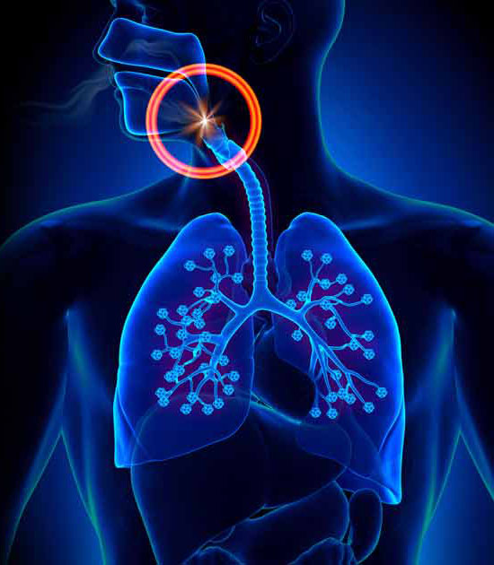 Sleep Apnea | ENT Doctor Cape Town Sleep Apnea | ENT Doctor Cape Town